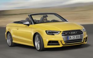 Audi S3 Cabriolet (8V) (WW) '2016